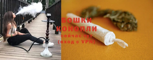 бошки Нея