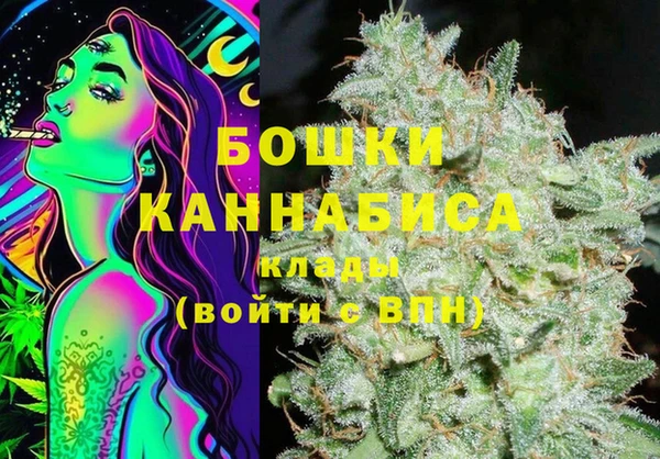 бошки Нея