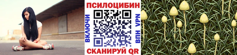 Галлюциногенные грибы Psilocybine cubensis  Купить закладки  Малгобек 